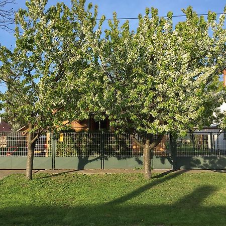 Eszter Vendeghaz Hotel Berekfürdő Bagian luar foto